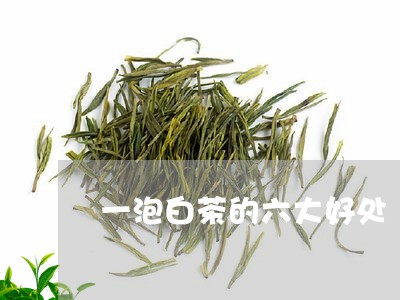 一泡白茶的六大好处/2023081210505