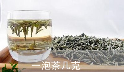 一泡茶几克/2023090268573