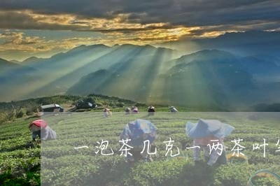 一泡茶几克一两茶叶等于多少克/2023053171947