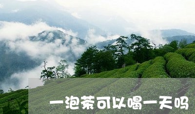 一泡茶可以喝一天吗/2023042243715