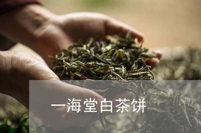 一海堂白茶饼/2023051221592