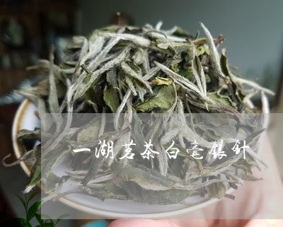 一湖茗茶白毫银针/2023090625270