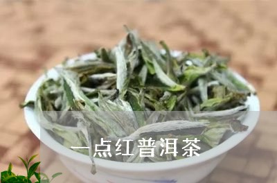 一点红普洱茶/2023090629270