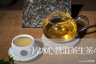 一片冰心普洱茶生茶40克/2023110226361