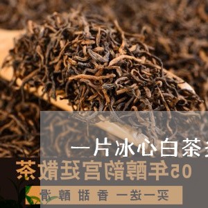 一片冰心白茶多少克/2023081206369