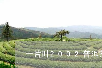 一片叶2002普洱茶/2023062397250