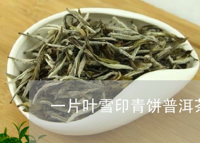 一片叶雪印青饼普洱茶/2023061580481