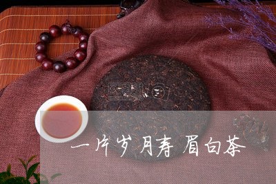 一片岁月寿眉白茶/2023090818479