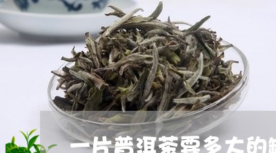 一片普洱茶要多大的罐/2023092750593