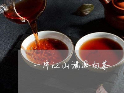 一片江山福鼎白茶/2023112511503