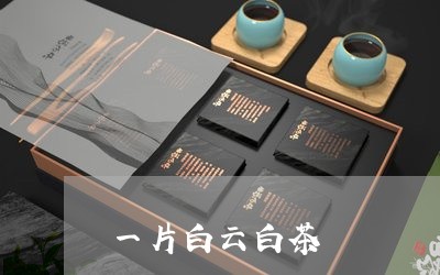 一片白云白茶/2023051294039