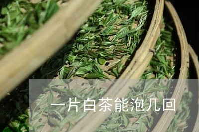 一片白茶能泡几回/2023061508371