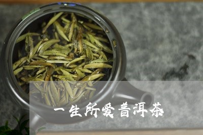 一生所爱普洱茶/2023102643615