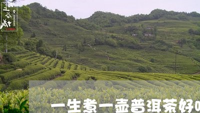 一生煮一壶普洱茶好吗/2023092682592