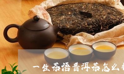 一生茶语普洱茶怎么样/2023061996049