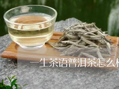 一生茶语普洱茶怎么样/2023093060606