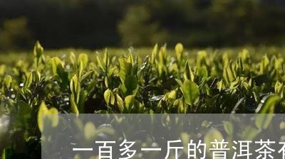 一百多一斤的普洱茶有哪些/2023112483949