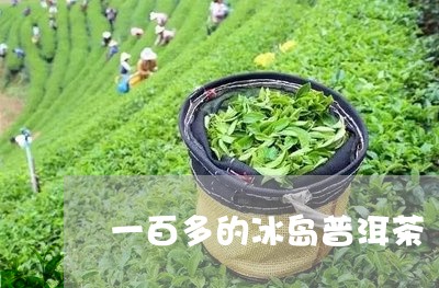 一百多的冰岛普洱茶/2023071141928