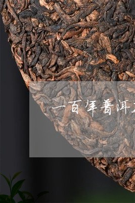 一百年普洱茶/2023042927174