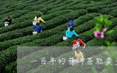 一百年的普洱茶能卖多少钱啊/2023052818694