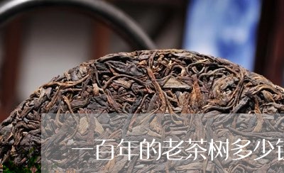 一百年的老茶树多少钱/2023071460404