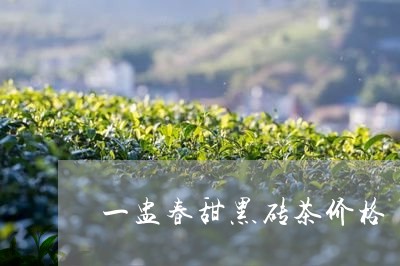 一盅春甜黑砖茶价格/2023042325259