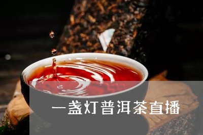 一盏灯普洱茶直播/2023120425138