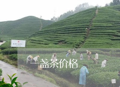 一盏茶价格/2023122049715