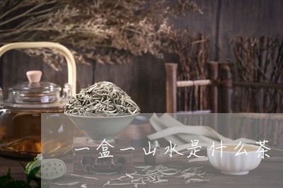 一盒一山水是什么茶/2023042103146