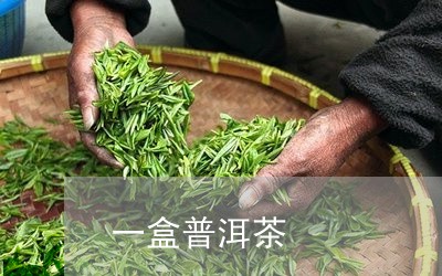 一盒普洱茶/2023090623824