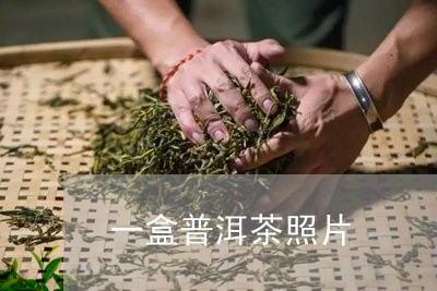 一盒普洱茶照片/2023102611592