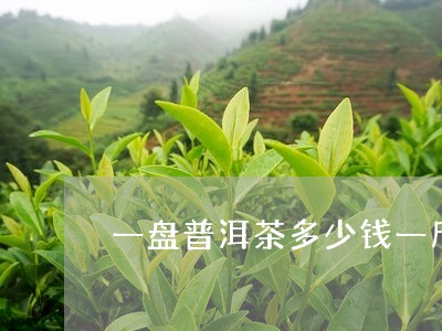 一盘普洱茶多少钱一斤/2023061439283