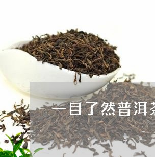 一目了然普洱茶/2023102623705