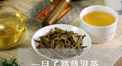 一目了然普洱茶/2023120383938