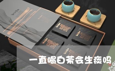 一直喝白茶会生痰吗/2023081249482