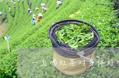 一直喝红茶对身体好吗红茶的坏处/2023060278960