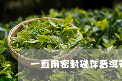 一直用密封袋存普洱茶/2023101705045