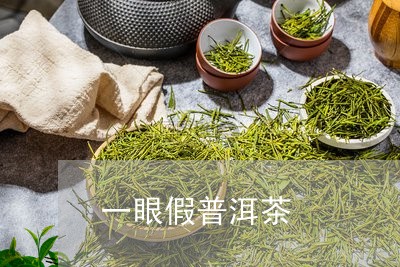 一眼假普洱茶/2023112649492