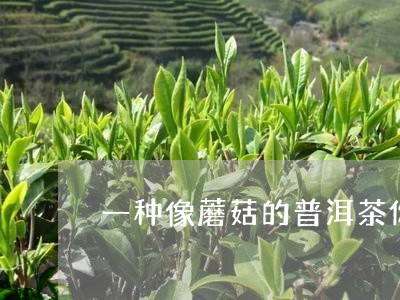 一种像蘑菇的普洱茶你知道吗/2023110552916