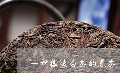 一种很像白茶的黑茶/2023081215948