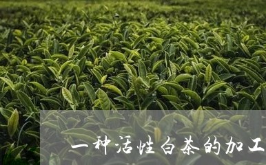 一种活性白茶的加工/2023071452637