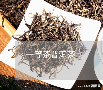 一等茶普洱茶/2023042746781