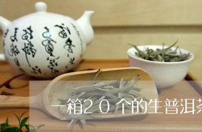 一箱20个的生普洱茶/2023092625240