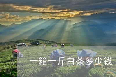 一箱一斤白茶多少钱/2023071478390