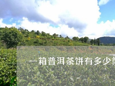 一箱普洱茶饼有多少筒/2023092690512