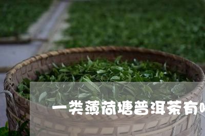 一类薄荷塘普洱茶有哪些/2023110159370