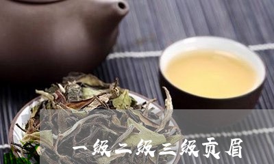 一级二级三级贡眉/2023061550694