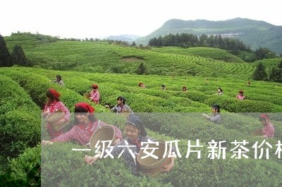 一级六安瓜片新茶价格/2023071532615