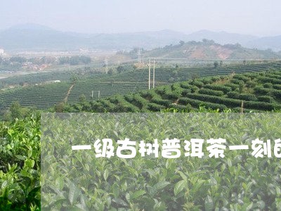 一级古树普洱茶一刻的价格/2023051183827