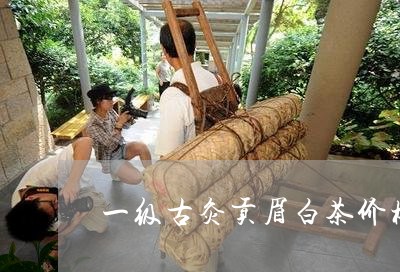 一级古灸贡眉白茶价格多少/2023062713827